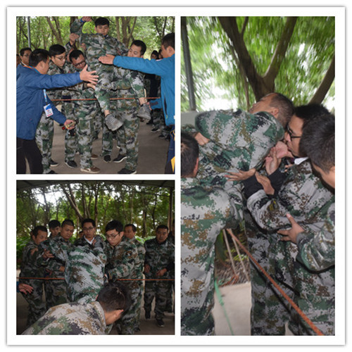 1547014933143328.jpg 正文3.jpg